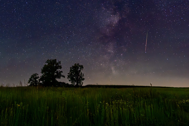 Night sky full of stars.