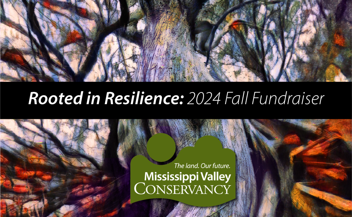 Rooted in Resilience flyer