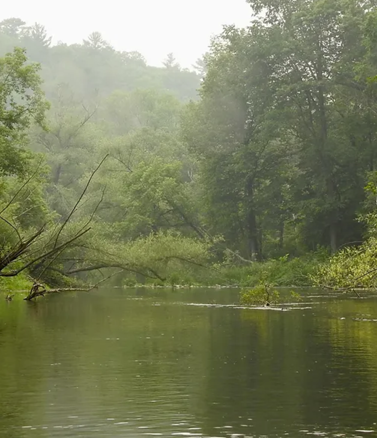 A foggy morning on the Kinnickinnic River.