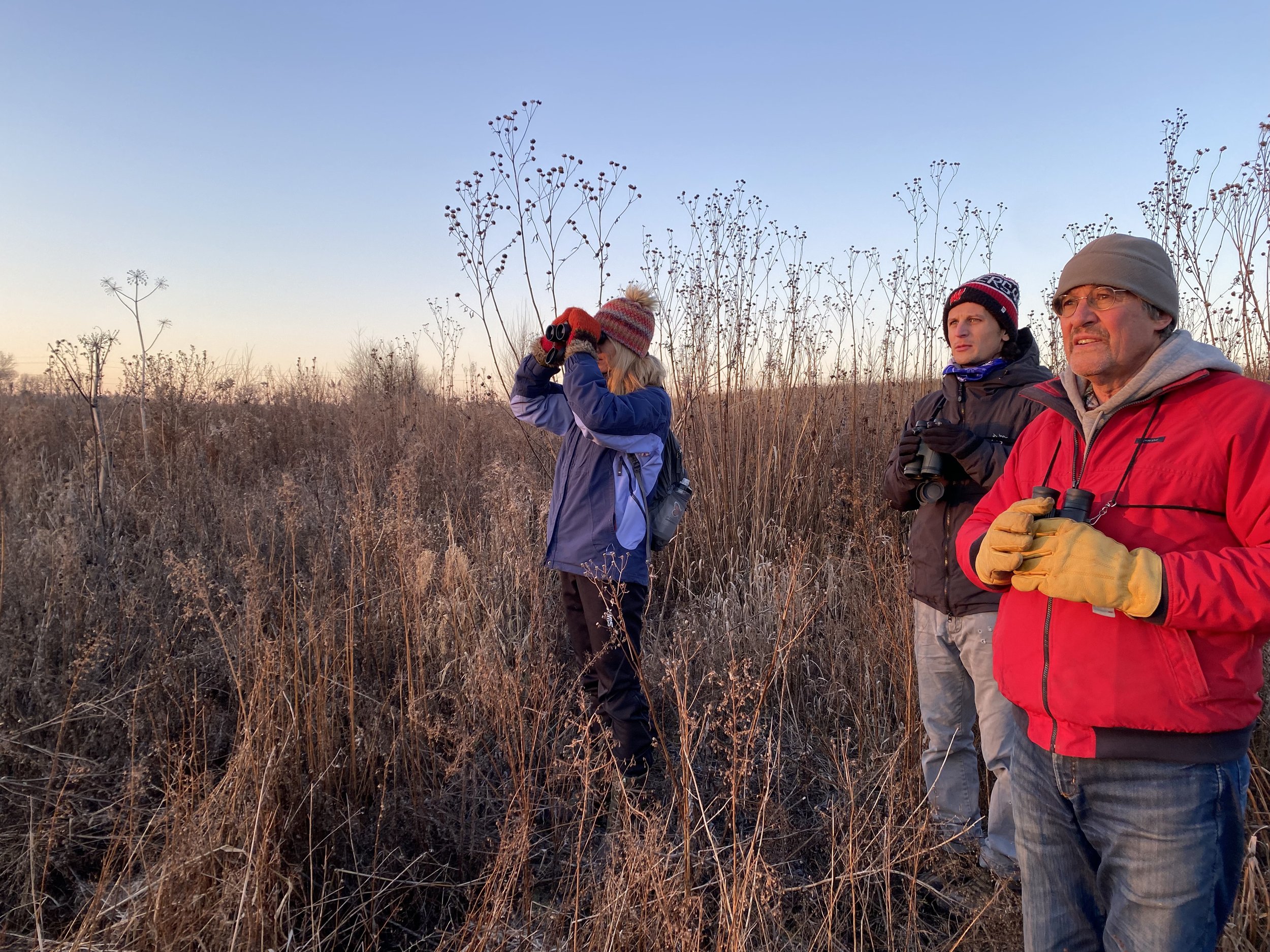 A group of birders in a field