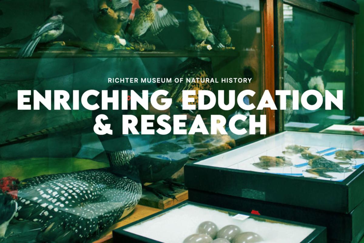 A poster from the Richter Museum of Natural History that says "enriching education and research"