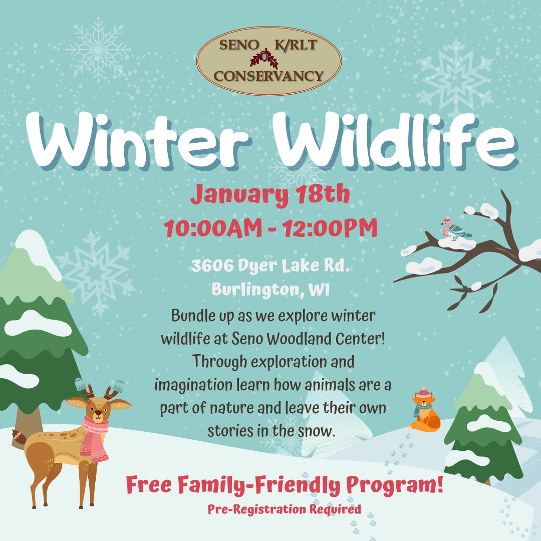 Winter Wildlife event poster with cute animal illustrations