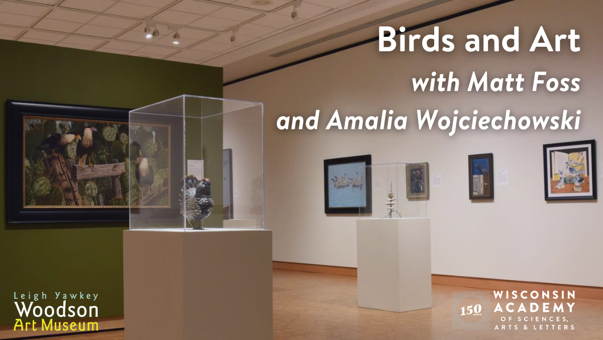 Image of the birds exhibit at the Woodson Art Museum.