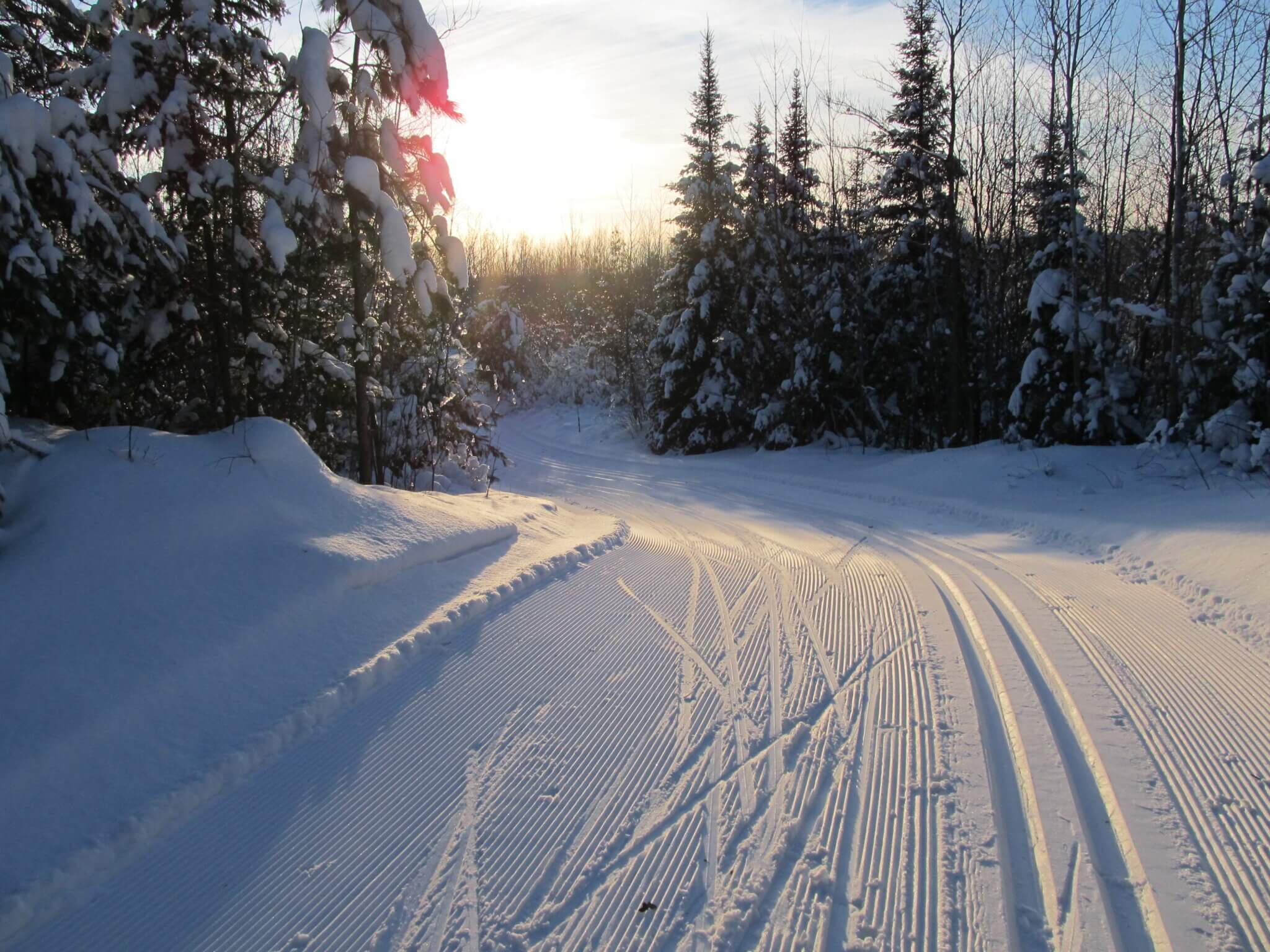 A snowy path through the woods.