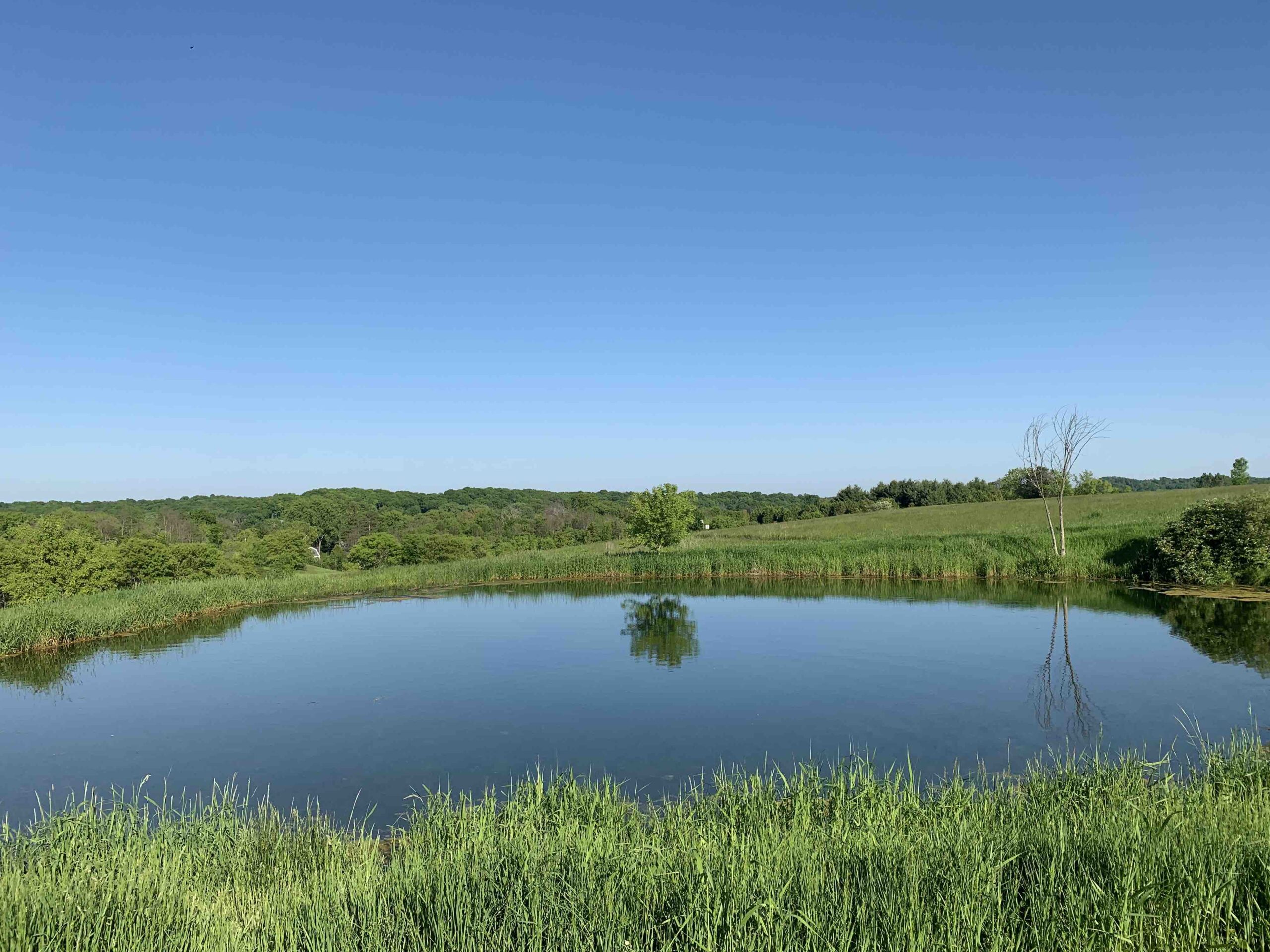 A sunny day at the Water Spirits Preserve.