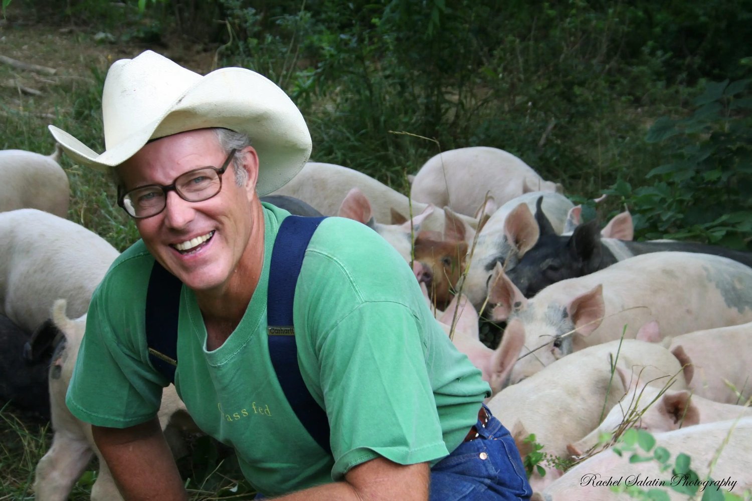 Joel Salatin with a group of pigs.