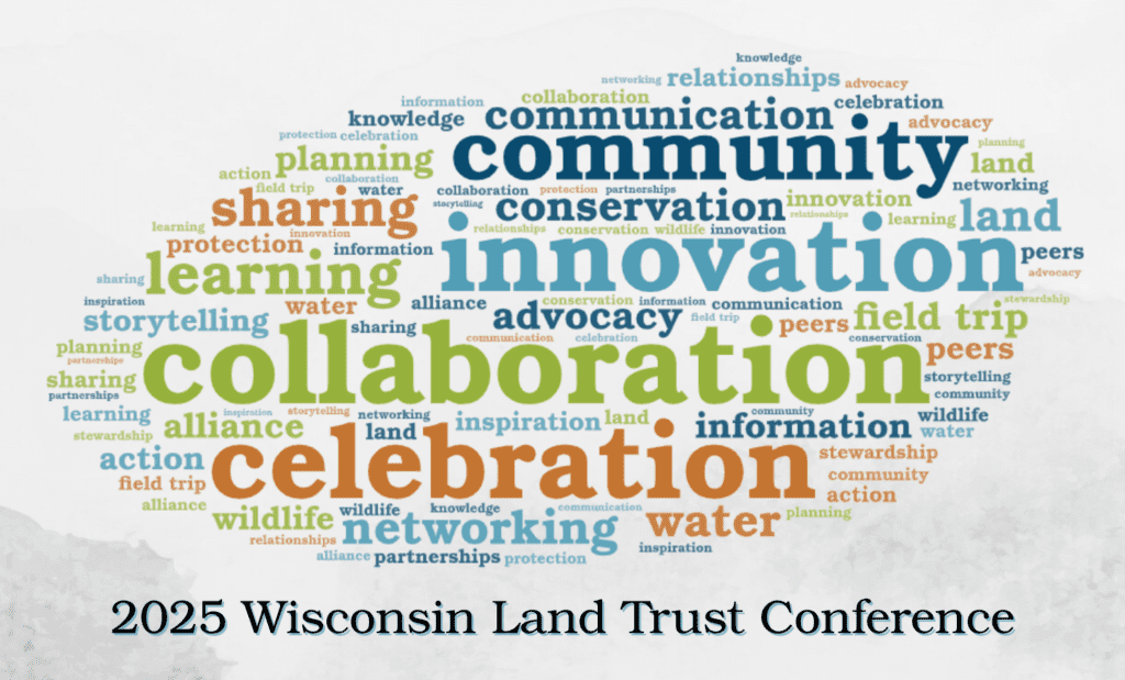 Word cloud with words in blue, green, and orange.